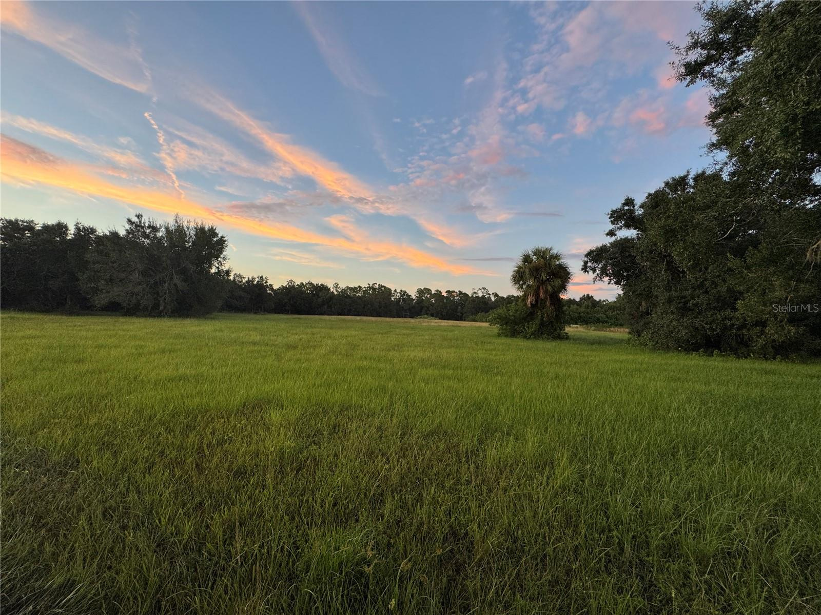 50 Acre Private Airport and Equestrian Estate in Arcadia, FL $4,800,000